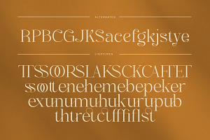 Caster Modern Chic Serif