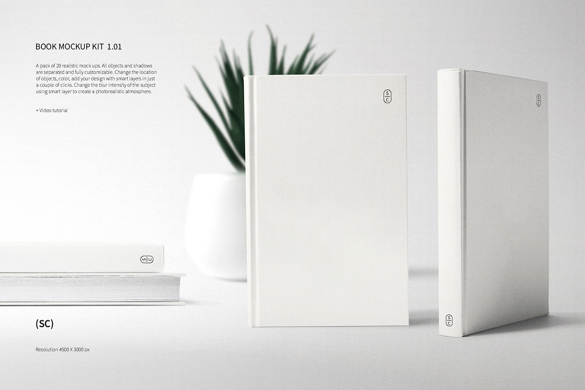 Book Mockup Kit, a Books & Magazine Mockup by Roman Striga (Photo 3 of 13)