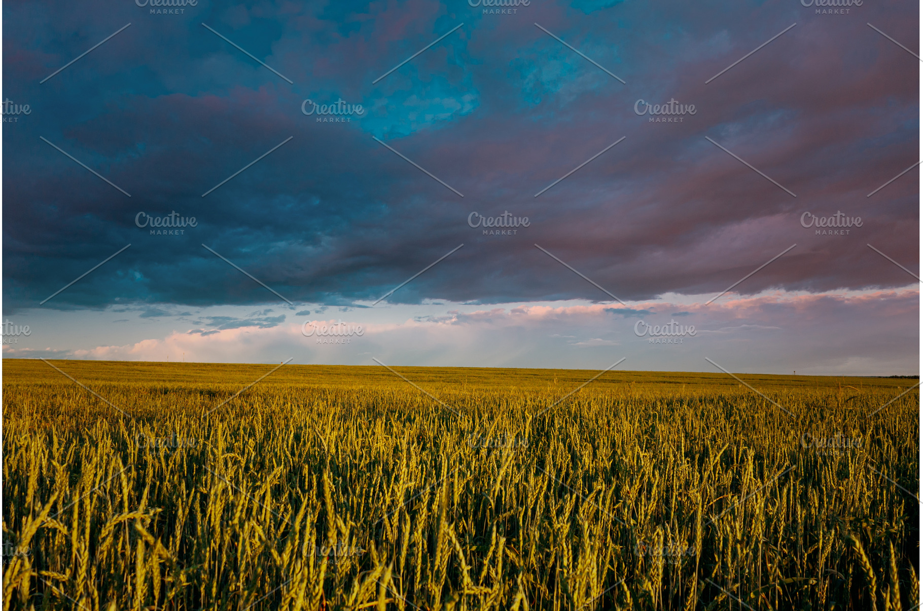 Green Field Under Dynamic Skies at, a Beauty & Fashion Photo by Our Amazing World