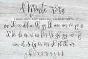 Monte Rosa, a Script Font by Affinity Grove (Thumbnail 8 of 18)