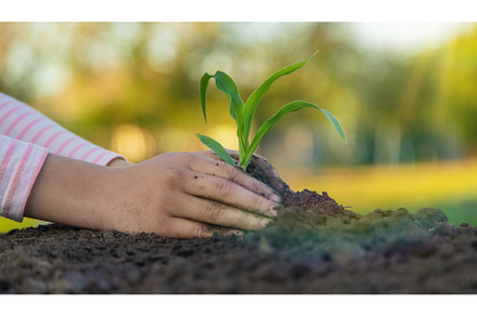 The child is planting a plant in the, a Nature Photo by yanadjana