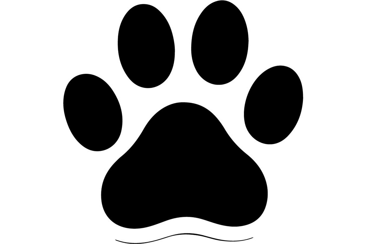 Cute Cat Silhouette Vector Mega, an Animal Illustration by Designer_Momina (Photo 4 of 31)