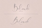 Belinda Script - Regular and Italic, a Script Font by VP Fonts (Thumbnail 2 of 12)