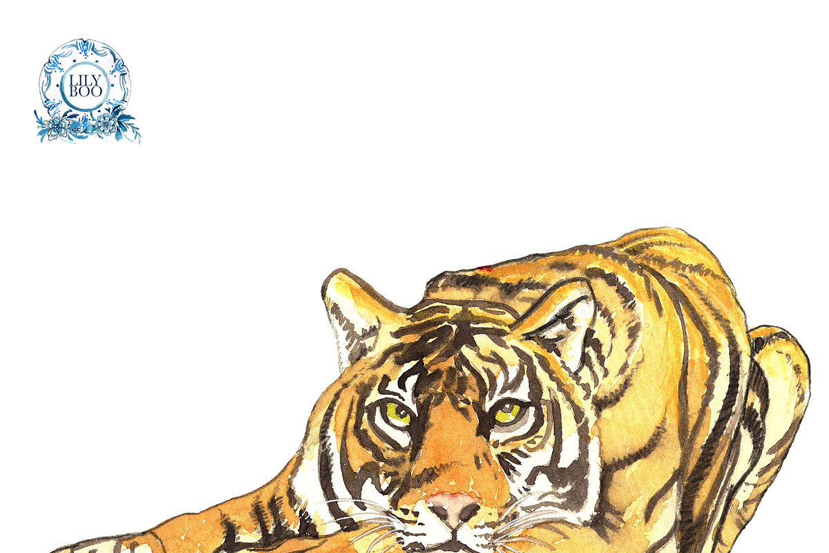 REALISTIC TIGER WATERCOLOUR CLIPART, an Animal Illustration by LilyBoo Clipart (Photo 2 of 5)