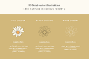 Spring Floral Vector Illustrations, a Decorative Illustration by Emma Webb Studio (Thumbnail 3 of 9)