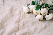 White peonies film look stock photos, a Books & Magazine Mockup by Nellaino (Thumbnail 7 of 8)
