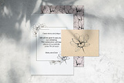 Flower. Line art sketch and patterns, a Decorative Illustration by Canatic (Thumbnail 2 of 7)