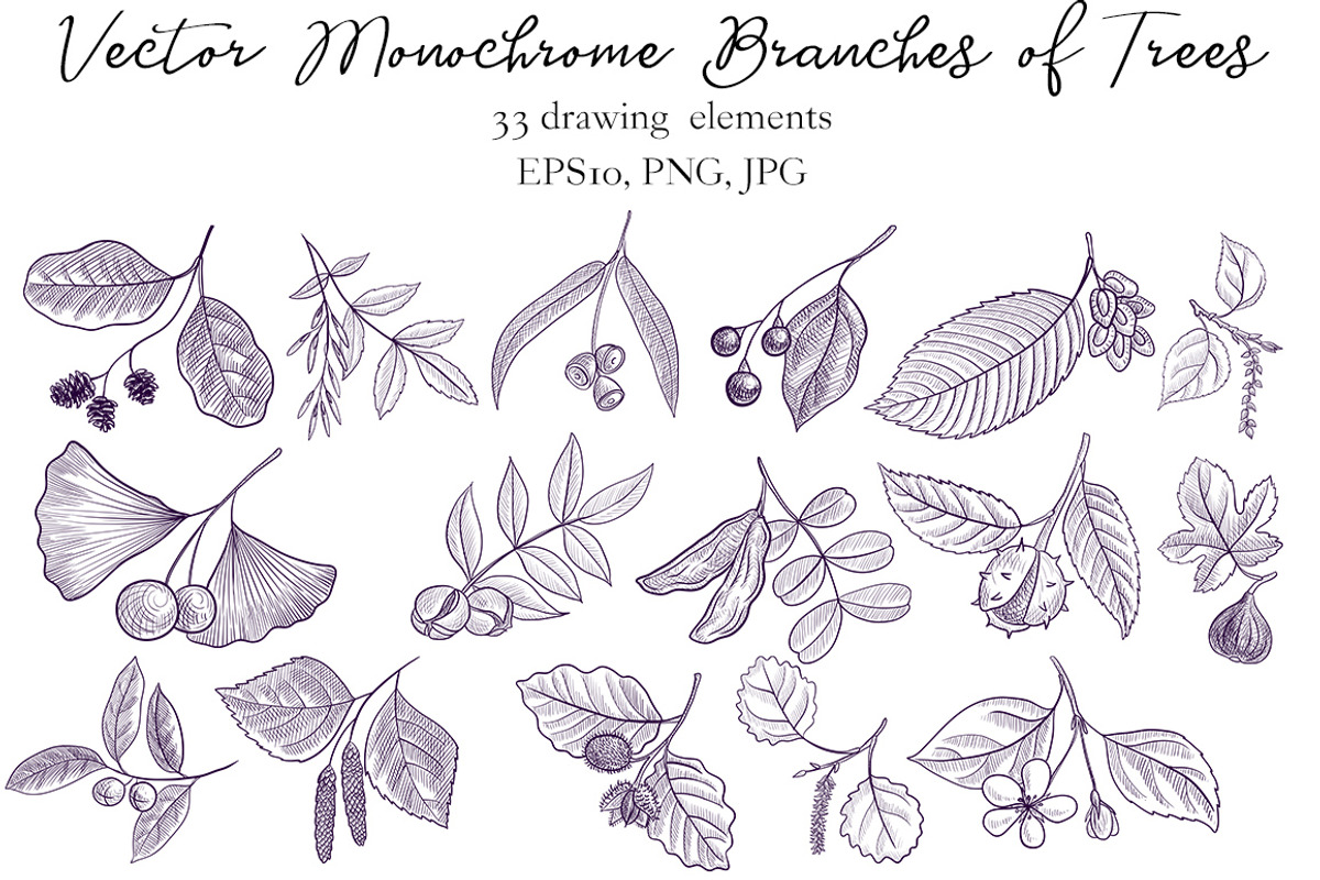 Vector Monochrome Branches of Trees, an Illustration by cat_arch_angel (Photo 4 of 12)