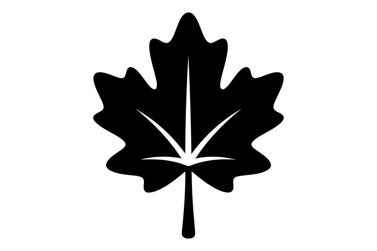 Maple Leaf Oak Leaf Autumn, an Object Graphic by Gfx_Store (Photo 1 of 15)