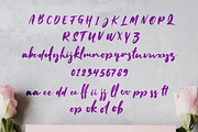 Mallent Font + Bonus, a Script Font by alit design (Thumbnail 6 of 8)