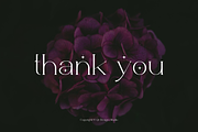 Acageto - Modern Luxury Font, a Serif Font by QR Design Studio (Thumbnail 15 of 16)