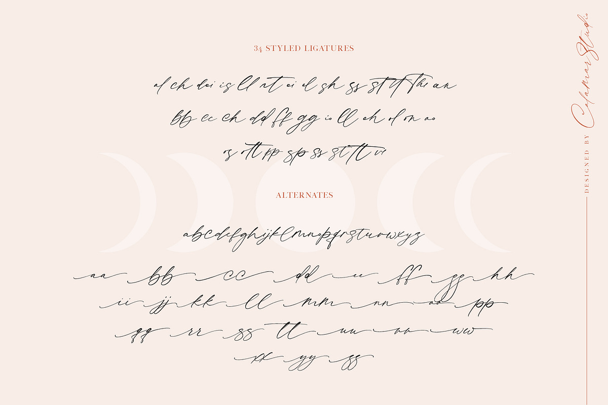 Macadamia | Handwritten Font, a Script Font by Calamar Studio (Photo 17 of 19)