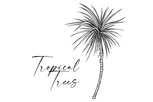 Palm Trees Tropical Vector Plants