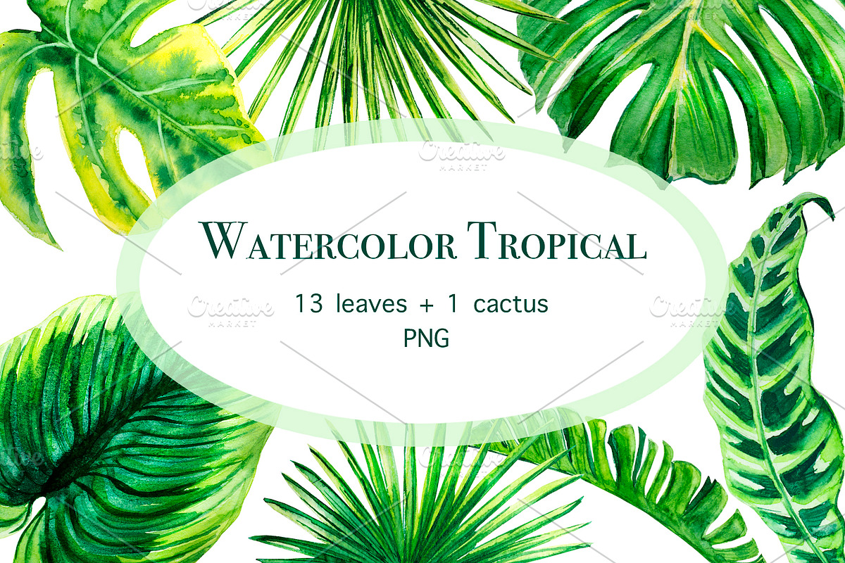 Tropical leaves watercolor, a Decorative Illustration by lilisavelieva (Photo 1 of 4)