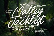 Malley Jacklist Script Sans Font Duo