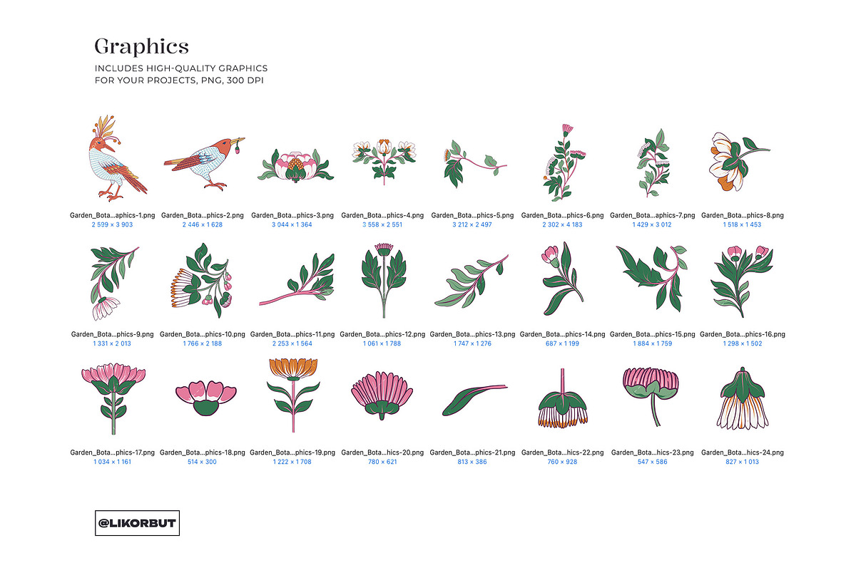 Garden Botanical Pattern and Motifs, a Pattern Graphic by likorbut (Photo 7 of 12)