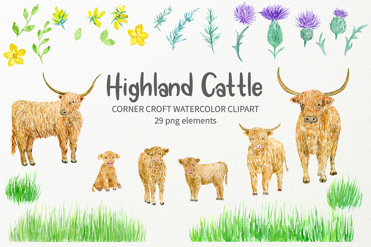 Watercolor Highland Cattle Clipart, an Animal Illustration by Corner Croft (Photo 2 of 6)