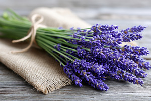 Fresh bouquet of lavender flowers, a Nature Photo by MistyDay