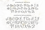 Fleur Marche – Modern Calligraphy, a Script Font by RedyStudio (Thumbnail 12 of 13)