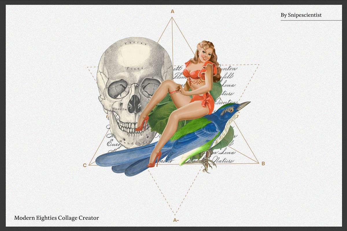BlackSale! Collage Master Collection, an Object Graphic by SNIPESCIENTIST (Photo 61 of 94)