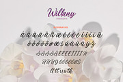 Willany - Handwritten Font, a Handwritten Font by Alphaleonis_std (Thumbnail 6 of 7)