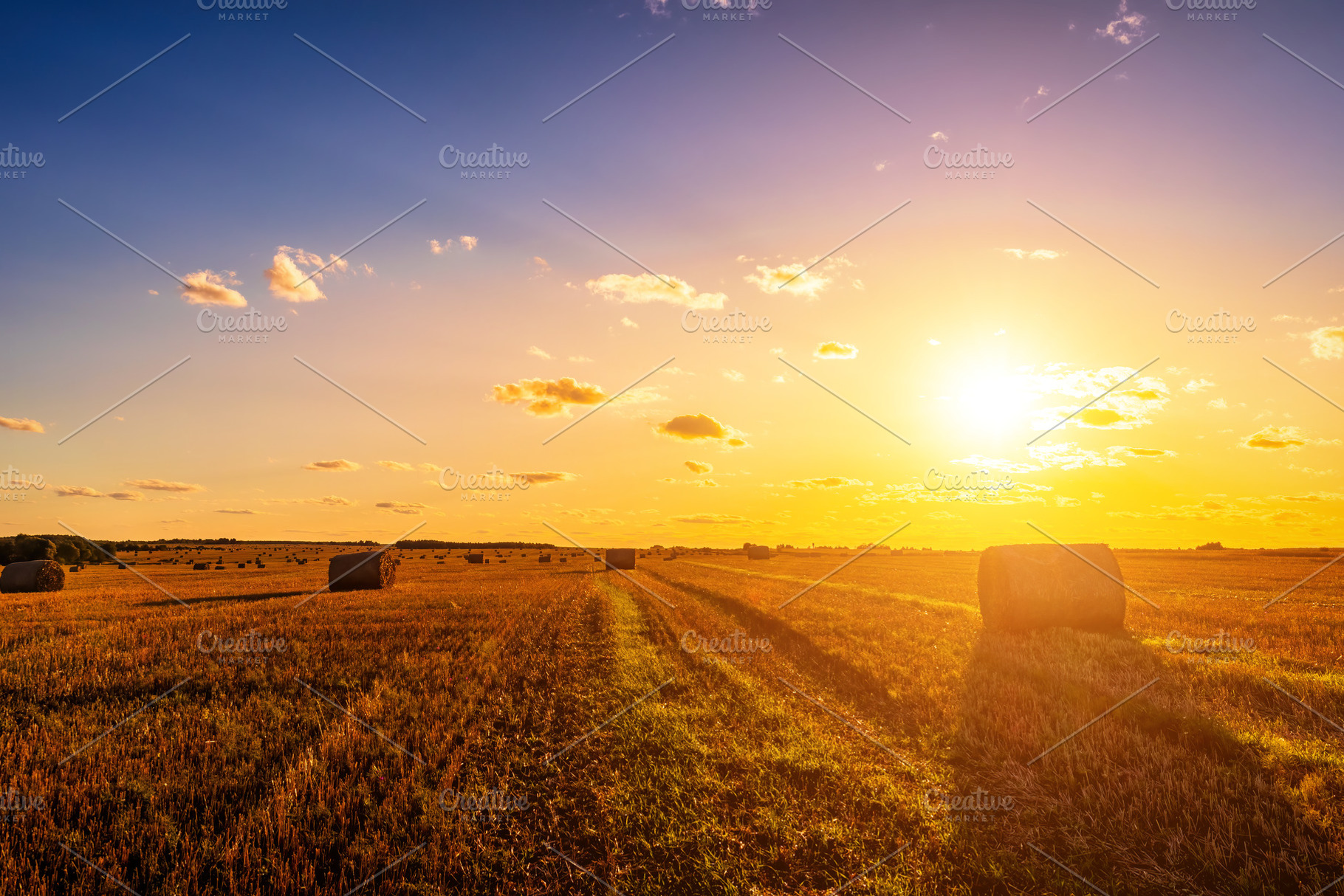 A field with haystacks at sunset., a Nature Photo by Eugene_Photo