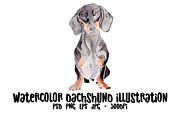 Dachshund Dog Illustration, an Illustration by Foxery Digital (Thumbnail 1 of 5)
