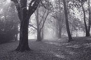 10 Matte B & W Landscape Drama, a Preset Add-On by Timeless Presets (Thumbnail 16 of 17)