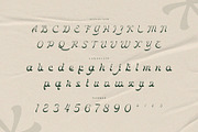 Vibrants — Modern Calligraphy Script, a Script Font by Krismagraph (Thumbnail 10 of 10)