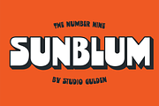 SG - SUNBLUM, a Sans Serif Font by Studio Gulden (Thumbnail 12 of 12)