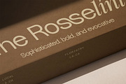 Dessign Maison - Hybrid Display Font, a Serif Font by SilverStag Type Foundry (Thumbnail 5 of 18)
