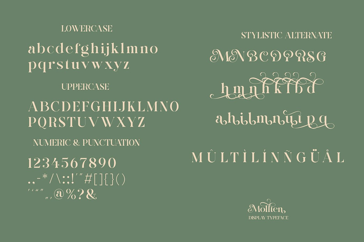 Maonest Serif Font, a Serif Font by Luna Shop (Photo 6 of 11)