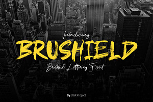 Brushield | Handwritten brush font