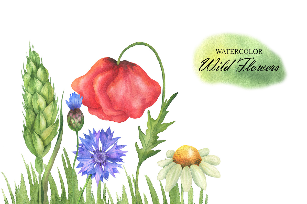 Watercolor Wildflowers clipart, an Illustration by OlDm_Shop (Photo 4 of 7)