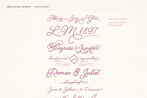 Beloved Script Bold