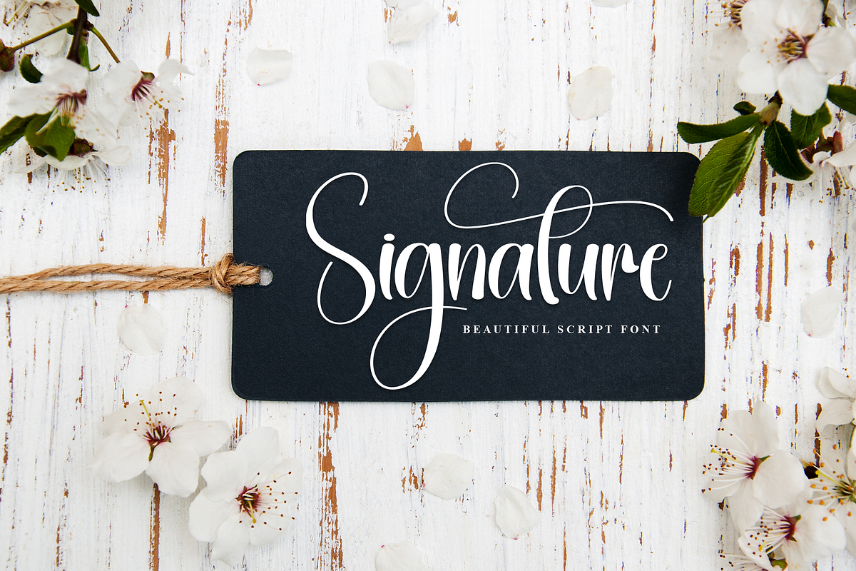 Sublimation | Script Font, a Handwritten Font by Scratchones (Photo 5 of 9)