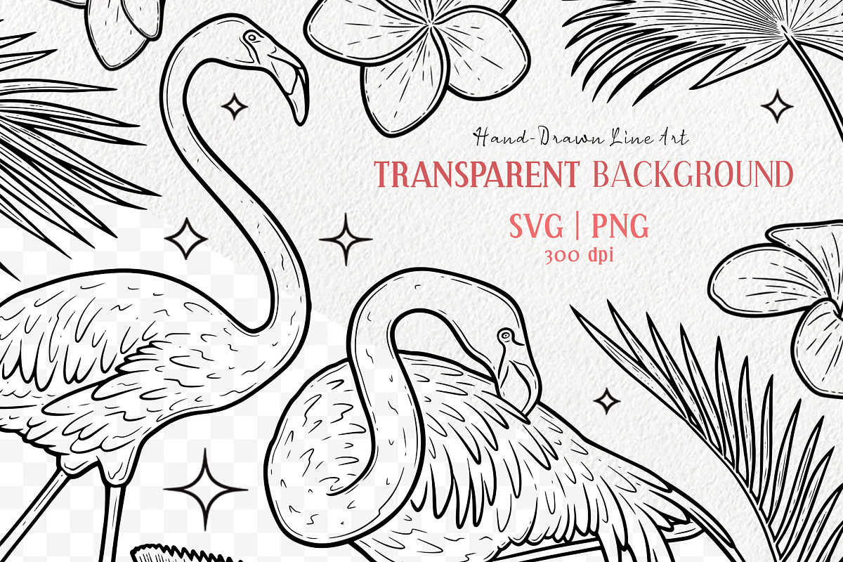 Tropical Flamingo Vector Line Art, an Animal Illustration by MadliArt (Photo 2 of 4)