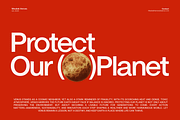 ZT Nature Sans - 18 Font & Variable, a Sans Serif Font by zelow type (Thumbnail 3 of 11)