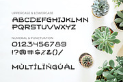 Remy Leaves Display Typeface, a Handwritten Font by Fikry Alfatih (Thumbnail 6 of 7)