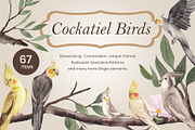 Cockatiel Birds Watercolor, an Animal Illustration by CreativeValuation (Thumbnail 1 of 15)