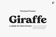 Giraffe Bold Serif Font