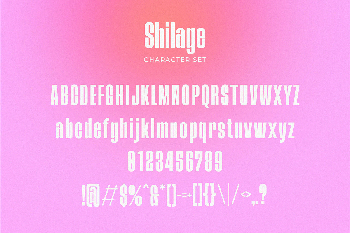 Shilage - Modern Condensed Sans Seri, a Sans Serif Font by TypeLogue (Photo 4 of 5)