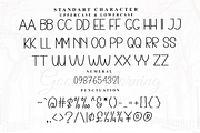 Wedding Beautiful, a Serif Font by FreshTypeINK (Thumbnail 7 of 8)