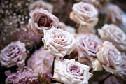 A Garden of Roses | Wedding, Events, a Nature Photo by Farewell (Thumbnail 40 of 41)