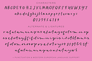 Lemonberries Script, a Handwritten Font by Beck McCormick (Thumbnail 10 of 10)