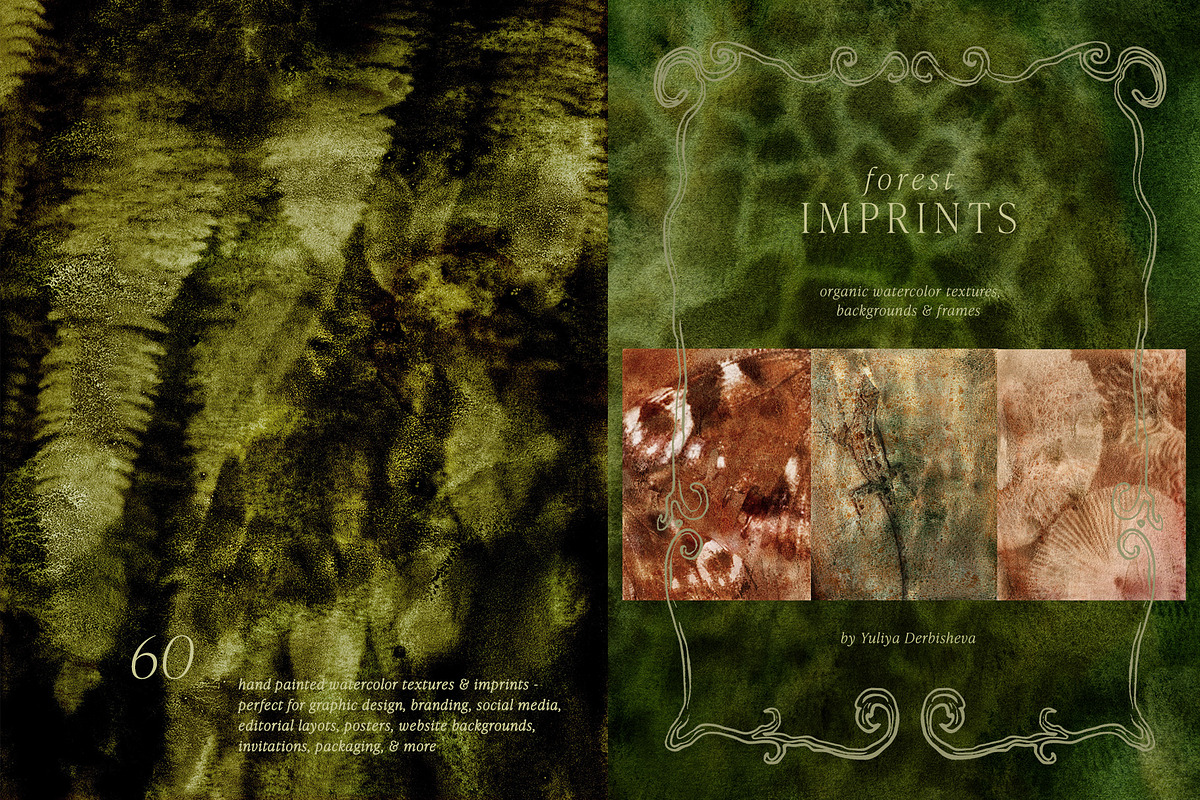 Forest Imprint Botanical backgrounds, a Background Graphic by Yuliya Derbisheva (Photo 1 of 11)