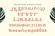 Stylish Average - Elegant Alternates, a Serif Font by Shakira Studio (Thumbnail 10 of 10)