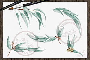 Eucalyptus 2 Watercolor Clip Art