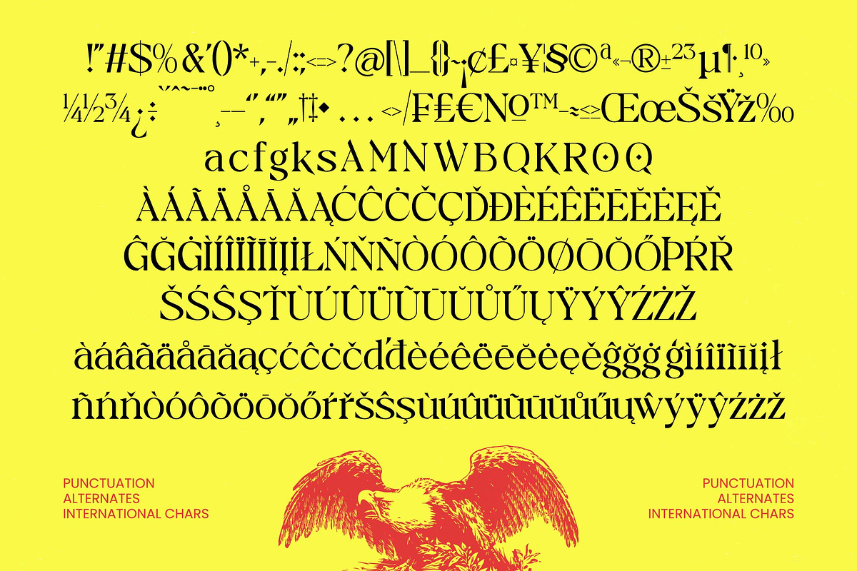 Badiek Serif Display, a Serif Font by timelesstype.co (Photo 14 of 15)