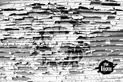 15 White backgrounds., a Texture Graphic by ladik (Thumbnail 5 of 6)